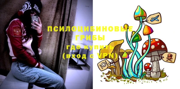 экстази Алексин