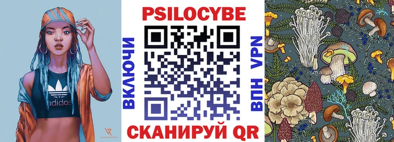 сколько стоит Арск Псилоцибиновые грибы Psilocybine cubensis